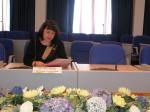 Участие в заседании комитета Думы Ставропольского края